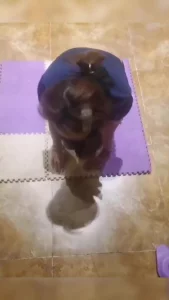 调教东北淫妻，绿帽老公找两兄弟在家中调教淫妻