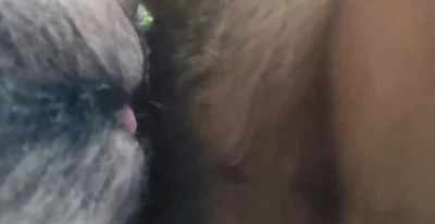 青岛嫩逼黑森林，背后无套抽插扭摸欢乐豆（一）